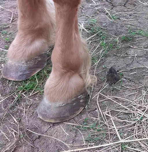 aba8d6b2 17d8 4e4a a7dc f68570c05d97