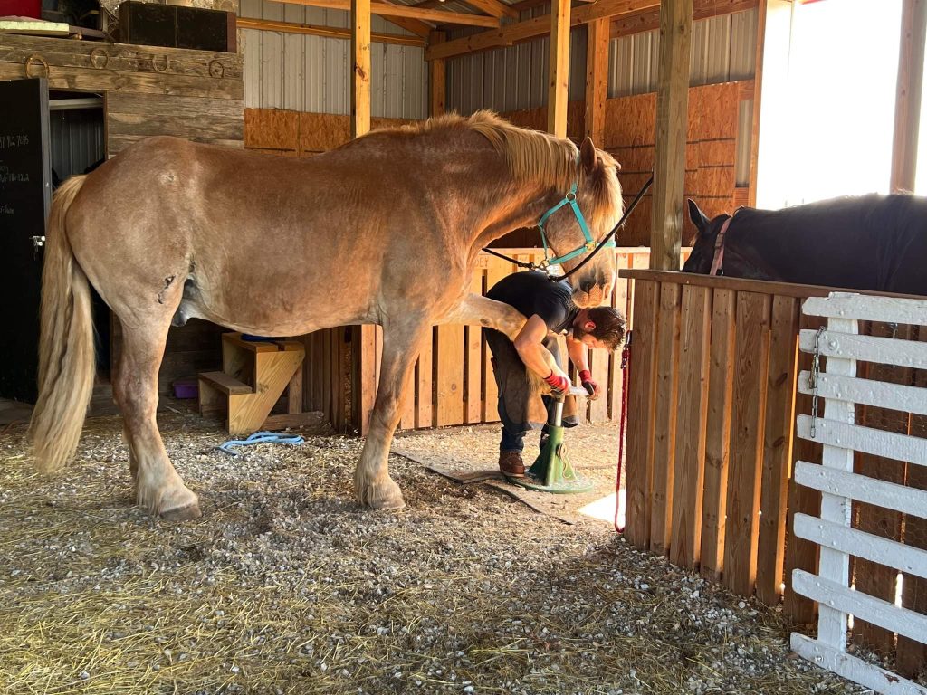 received 448284917192233